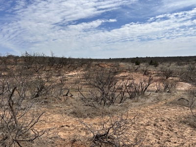 Recreational and Hunting Land for sale in Greer County Oklahoma - image 14