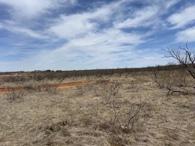 Recreational and Hunting Land for sale in Greer County Oklahoma - image 10