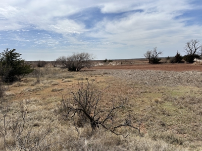 Recreational and Hunting Land for sale in Greer County Oklahoma - image 2