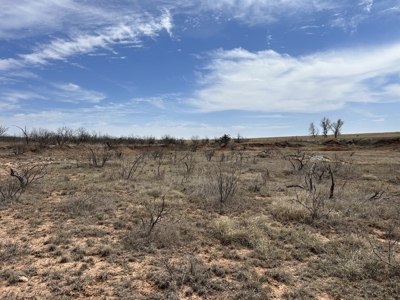 Recreational and Hunting Land for sale in Greer County Oklahoma - image 7