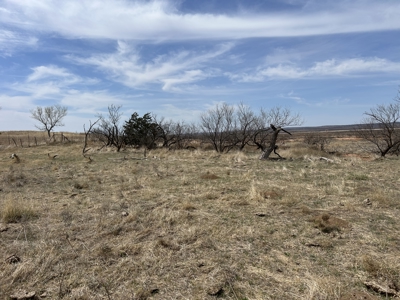 Recreational and Hunting Land for sale in Greer County Oklahoma - image 11