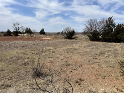 Recreational and Hunting Land for sale in Greer County Oklahoma - image 3