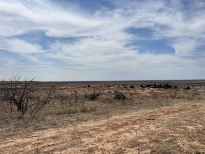 Recreational and Hunting Land for sale in Greer County Oklahoma - image 5
