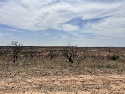 Recreational and Hunting Land for sale in Greer County Oklahoma - image 6