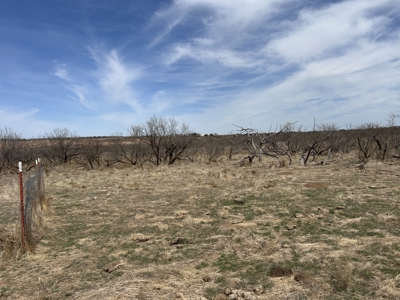 Recreational and Hunting Land for sale in Greer County Oklahoma - image 12