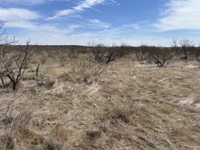 Recreational and Hunting Land for sale in Greer County Oklahoma - image 9