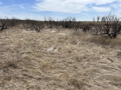 Recreational and Hunting Land for sale in Greer County Oklahoma - image 8
