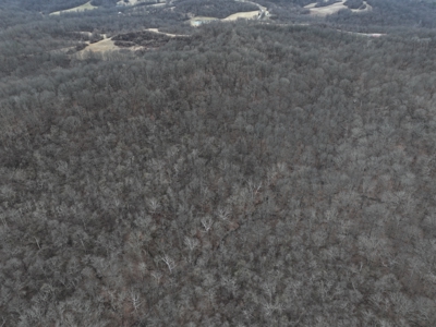 Secluded Hunting and Timber Tract in Noble County Tract 14 - image 4