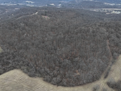 Secluded Hunting and Timber Tract in Noble County Tract 14 - image 3