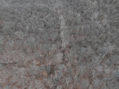 Secluded Hunting and Timber Tract in Noble County Tract 14 - image 6