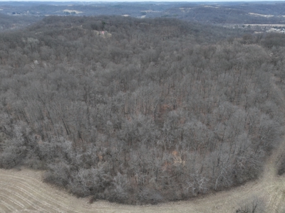 Secluded Hunting and Timber Tract in Noble County Tract 14 - image 2