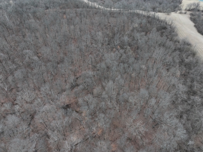 Secluded Hunting and Timber Tract in Noble County Tract 14 - image 5