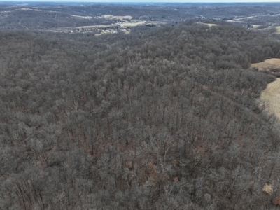Secluded Hunting and Timber Tract in Noble County Tract 14 - image 7