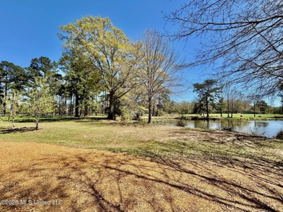 Farmhouse in Tylertown MS with a Pond - image 2