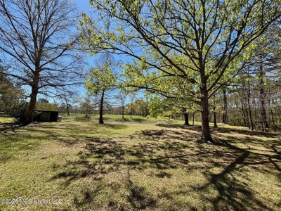Farmhouse in Tylertown MS with a Pond - image 24