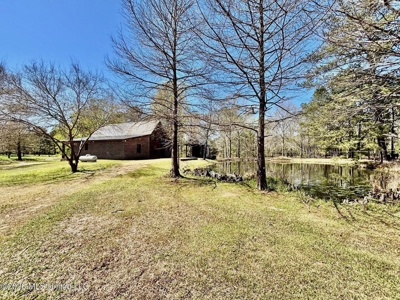 Farmhouse in Tylertown MS with a Pond - image 3