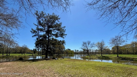Farmhouse in Tylertown MS with a Pond - image 29