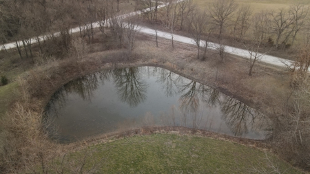 Home For Sale In Peculiar Missouri - image 12