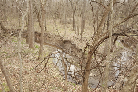 Home For Sale In Peculiar Missouri - image 29