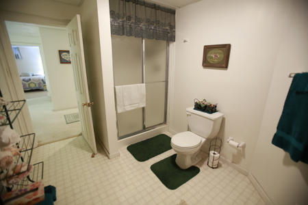 Home For Sale In Peculiar Missouri - image 44