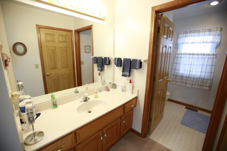 Home For Sale In Peculiar Missouri - image 35