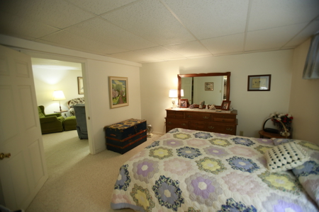 Home For Sale In Peculiar Missouri - image 43