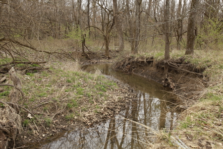 Home For Sale In Peculiar Missouri - image 27