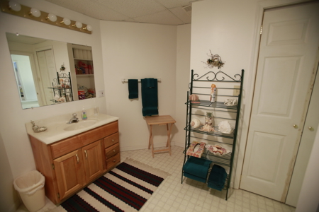 Home For Sale In Peculiar Missouri - image 45