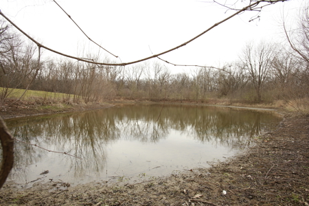 Home For Sale In Peculiar Missouri - image 24