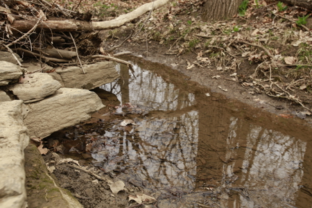 Home For Sale In Peculiar Missouri - image 28