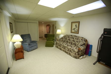 Home For Sale In Peculiar Missouri - image 42