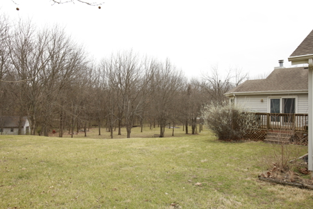 Home For Sale In Peculiar Missouri - image 25