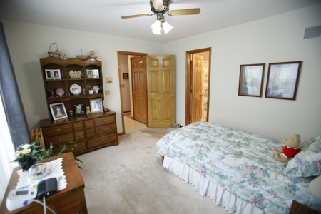 Home For Sale In Peculiar Missouri - image 36