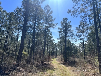 Sportmans Dream Property Ouachita County, AR! - image 1