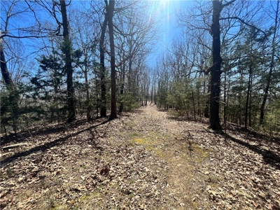 Small Cabin on 21+ Acres Land Marble Falls For Sale Newton Co - image 13