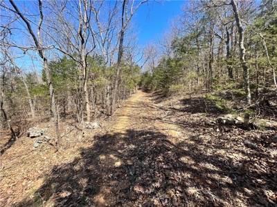 Small Cabin on 21+ Acres Land Marble Falls For Sale Newton Co - image 25