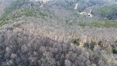 Small Cabin on 21+ Acres Land Marble Falls For Sale Newton Co - image 10