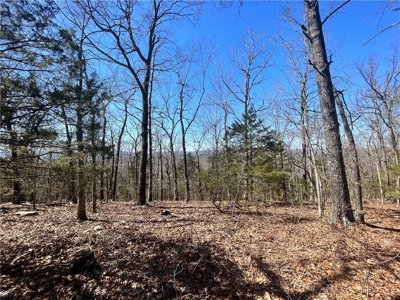 Small Cabin on 21+ Acres Land Marble Falls For Sale Newton Co - image 23