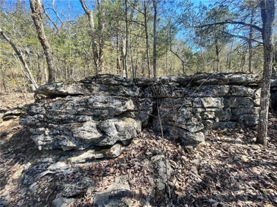 Small Cabin on 21+ Acres Land Marble Falls For Sale Newton Co - image 21