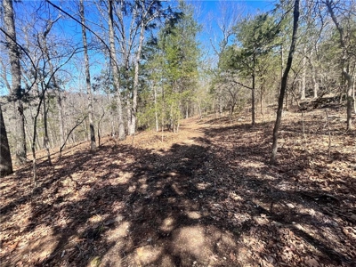 Small Cabin on 21+ Acres Land Marble Falls For Sale Newton Co - image 28