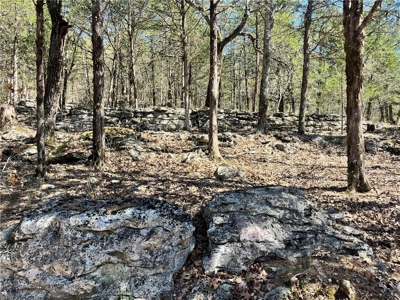 Small Cabin on 21+ Acres Land Marble Falls For Sale Newton Co - image 17