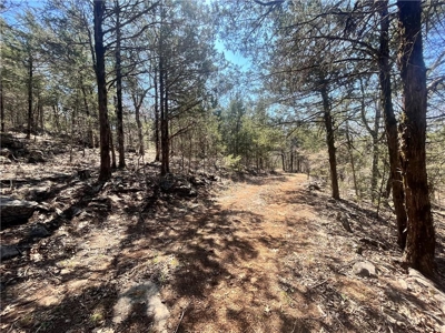 Small Cabin on 21+ Acres Land Marble Falls For Sale Newton Co - image 27