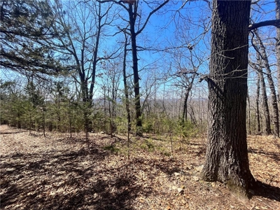 Small Cabin on 21+ Acres Land Marble Falls For Sale Newton Co - image 20