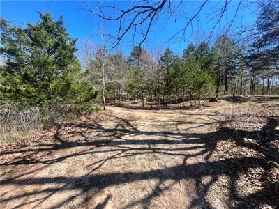 Small Cabin on 21+ Acres Land Marble Falls For Sale Newton Co - image 5