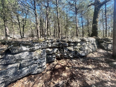 Small Cabin on 21+ Acres Land Marble Falls For Sale Newton Co - image 19