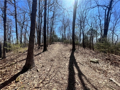 Small Cabin on 21+ Acres Land Marble Falls For Sale Newton Co - image 14
