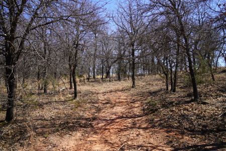 Wellston, Ok Home & Acreage For Sale - image 27