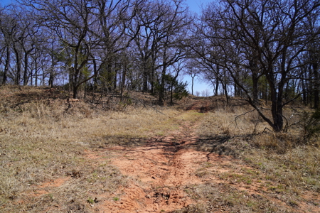 Wellston, Ok Home & Acreage For Sale - image 30