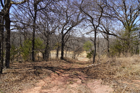 Wellston, Ok Home & Acreage For Sale - image 35