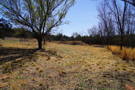 Wellston, Ok Home & Acreage For Sale - image 29